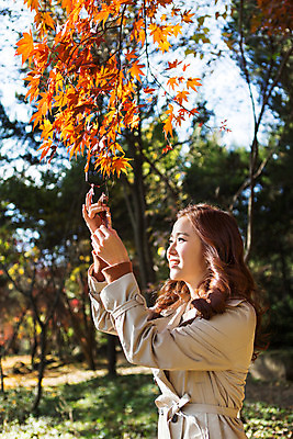 포토 JPG 주간 여자 여유 단풍 휴식 한명 상반신 20대 성인 야외 옆모습 산책 만지기 한국인 가을 트렌치코트 상쾌 수목원 파주 청년여자한명만 성인여자한명만 국내포토 자연요소 1 계절 감정 뷰포인트 컨셉 잎 모션 사람 동양인 청년 코트 경기도 여자한명만 성인여자만 청년여자만 파일형식