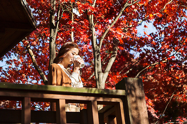 포토 JPG 주간 여자 여유 커피 단풍나무 티타임 휴식 따뜻함 한명 상반신 20대 성인 야외 옆모습 한국인 머그컵 마시기 발코니 가을 카디건 수목원 야외테라스 파주 청년여자한명만 성인여자한명만 국내포토 자연요소 나무 1 계절 감정 음료 뷰포인트 컨셉 단풍 모션 사람 동양인 청년 컵 외투 경기도 여자한명만 성인여자만 청년여자만 파일형식