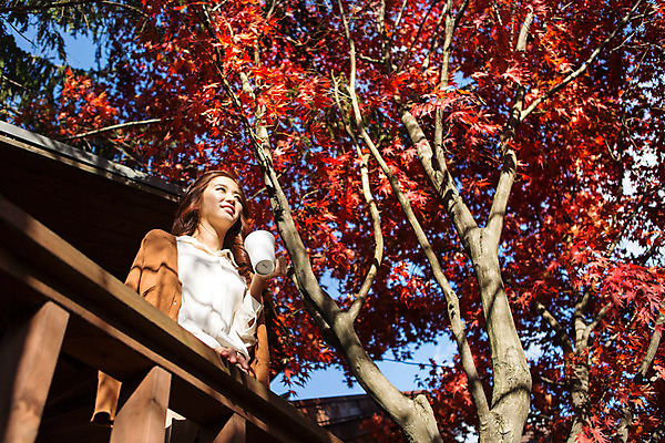 포토 JPG 주간 여자 여유 커피 로우앵글 단풍나무 티타임 휴식 따뜻함 한명 상반신 20대 성인 야외 한국인 머그컵 발코니 가을 카디건 수목원 야외테라스 파주 청년여자한명만 성인여자한명만 국내포토 자연요소 나무 1 계절 감정 음료 뷰포인트 컨셉 단풍 사람 동양인 청년 컵 외투 경기도 여자한명만 성인여자만 청년여자만 파일형식