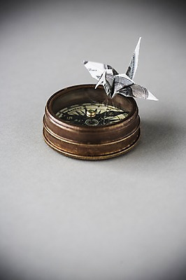 포토 JPG 스튜디오촬영 한마리 백그라운드 비즈니스 실내 취미 사람없음 경제 달러 꿈 학 나침반 종이접기 소원 색종이 종이학 접기 국내포토 1 종이 돈 모션 조류 내부 파일형식