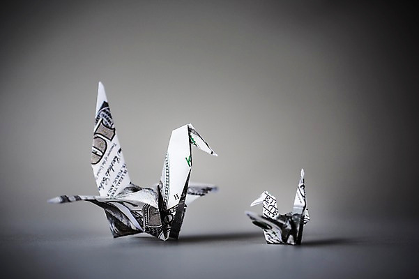 포토 JPG 스튜디오촬영 백그라운드 두마리 비즈니스 실내 취미 사람없음 경제 달러 꿈 학 종이접기 소원 색종이 종이학 접기 국내포토 종이 돈 2 모션 조류 내부 파일형식