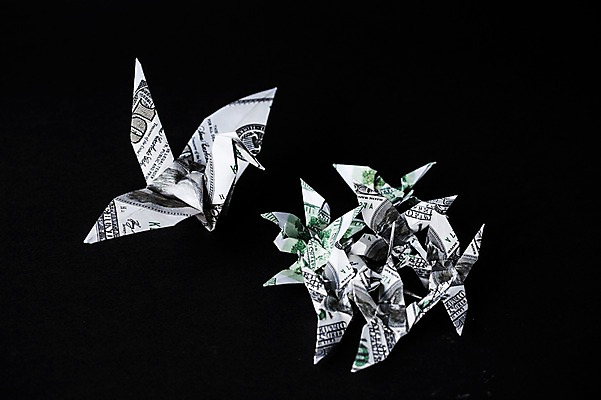 포토 JPG 스튜디오촬영 백그라운드 여러마리 비즈니스 검은배경 실내 취미 사람없음 경제 달러 꿈 학 종이접기 소원 색종이 종이학 접기 국내포토 종이 다수 돈 모션 조류 내부 검은색 파일형식