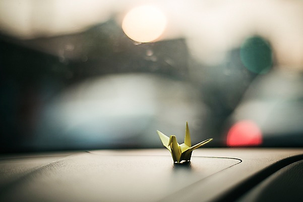 포토 JPG 주간 한마리 백그라운드 자동차 실내 취미 사람없음 야외 아웃포커스 꿈 학 종이접기 감성 소원 색종이 종이학 접기 국내포토 자연요소 1 종이 육상교통 컨셉 모션 조류 촬영기법 내부 파일형식