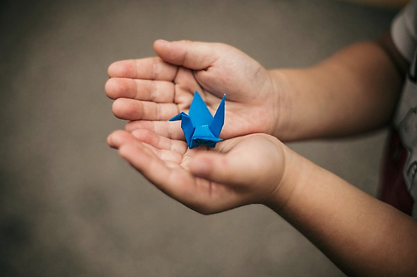 포토 JPG 스튜디오촬영 한마리 손 어린이 백그라운드 실내 손바닥 한명 들기 사람 취미 아웃포커스 신체부위 꿈 학 종이접기 감성 소원 색종이 종이학 접기 국내포토 1 종이 컨셉 모션 조류 촬영기법 내부 파일형식