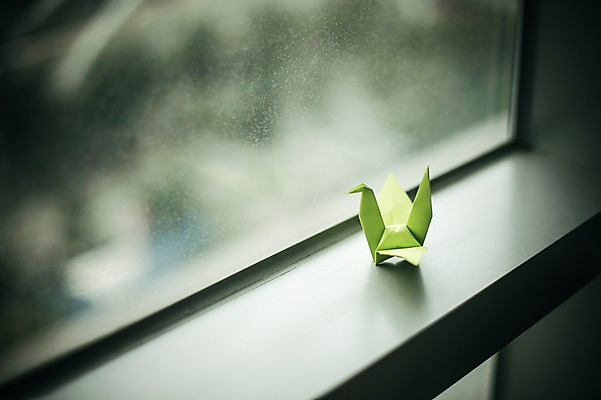 포토 JPG 스튜디오촬영 한마리 백그라운드 창문 실내 취미 사람없음 꿈 학 종이접기 창틀 감성 소원 색종이 종이학 접기 국내포토 1 종이 컨셉 모션 조류 내부 파일형식