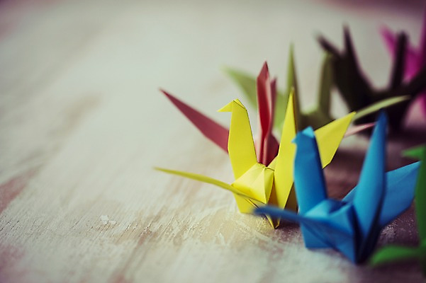 포토 JPG 스튜디오촬영 백그라운드 여러마리 실내 취미 사람없음 아웃포커스 컬러풀 꿈 학 종이접기 감성 소원 색종이 종이학 접기 국내포토 종이 컬러 다수 컨셉 모션 조류 촬영기법 내부 파일형식