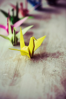 포토 JPG 스튜디오촬영 백그라운드 여러마리 실내 취미 사람없음 아웃포커스 컬러풀 꿈 학 종이접기 감성 소원 색종이 종이학 접기 국내포토 종이 컬러 다수 컨셉 모션 조류 촬영기법 내부 파일형식