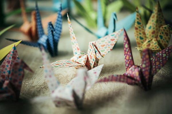 포토 JPG 스튜디오촬영 백그라운드 여러마리 실내 취미 사람없음 아웃포커스 컬러풀 꿈 학 종이접기 감성 소원 색종이 종이학 접기 국내포토 종이 컬러 다수 컨셉 모션 조류 촬영기법 내부 파일형식