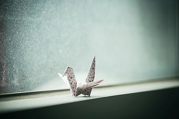 포토 JPG 스튜디오촬영 한마리 백그라운드 창문 실내 취미 사람없음 꿈 학 종이접기 창틀 감성 소원 색종이 종이학 접기 국내포토 1 종이 컨셉 모션 조류 내부 파일형식