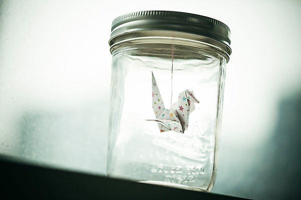 포토 JPG 스튜디오촬영 한마리 백그라운드 유리병 실내 취미 사람없음 꿈 학 종이접기 감성 소원 색종이 종이학 접기 국내포토 1 종이 컨셉 모션 조류 병_용기 내부 파일형식