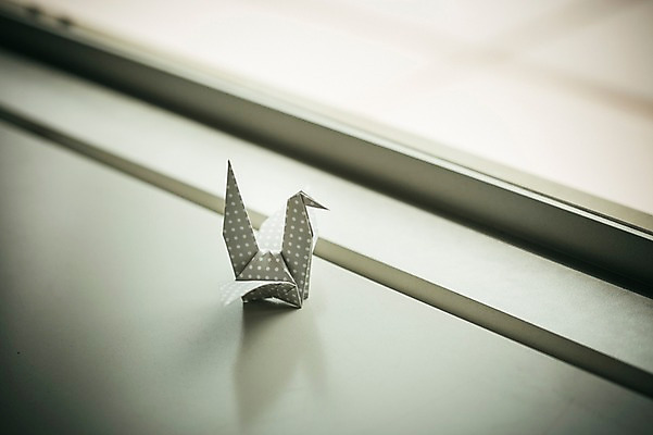 포토 JPG 스튜디오촬영 한마리 백그라운드 창문 실내 취미 사람없음 꿈 학 종이접기 창틀 감성 소원 색종이 종이학 접기 국내포토 1 종이 컨셉 모션 조류 내부 파일형식