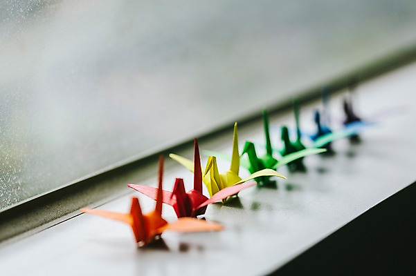 포토 JPG 스튜디오촬영 백그라운드 여러마리 창문 실내 취미 사람없음 컬러풀 꿈 학 종이접기 일렬 창틀 감성 소원 색종이 종이학 접기 국내포토 종이 컬러 다수 컨셉 모션 조류 내부 파일형식