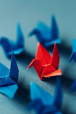 포토 JPG 스튜디오촬영 백그라운드 여러마리 실내 취미 사람없음 아웃포커스 꿈 학 종이접기 감성 소원 색종이 종이학 포위 접기 국내포토 종이 다수 컨셉 모션 조류 촬영기법 내부 파일형식