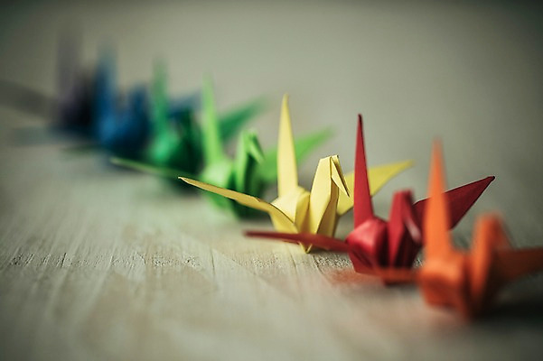 포토 JPG 스튜디오촬영 백그라운드 여러마리 실내 취미 사람없음 아웃포커스 컬러풀 꿈 학 종이접기 일렬 감성 소원 색종이 종이학 접기 국내포토 종이 컬러 다수 컨셉 모션 조류 촬영기법 내부 파일형식