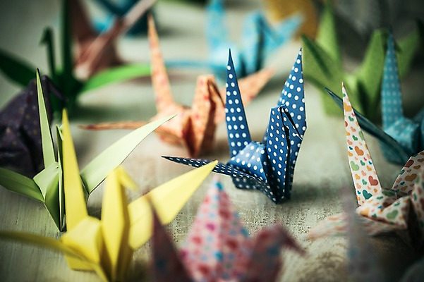 포토 JPG 스튜디오촬영 백그라운드 여러마리 실내 취미 사람없음 아웃포커스 컬러풀 꿈 학 종이접기 감성 소원 색종이 종이학 접기 국내포토 종이 컬러 다수 컨셉 모션 조류 촬영기법 내부 파일형식