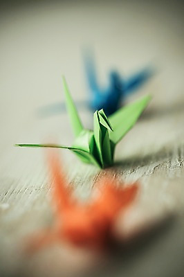 포토 JPG 스튜디오촬영 백그라운드 실내 취미 사람없음 아웃포커스 컬러풀 꿈 학 종이접기 감성 소원 색종이 종이학 접기 국내포토 종이 컬러 컨셉 모션 조류 촬영기법 내부 파일형식