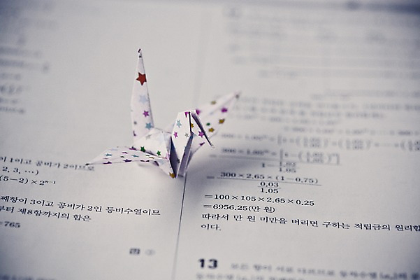 포토 JPG 스튜디오촬영 한마리 백그라운드 실내 취미 사람없음 아웃포커스 꿈 학 종이접기 시험지 감성 소원 색종이 종이학 접기 국내포토 1 종이 컨셉 모션 조류 촬영기법 내부 파일형식