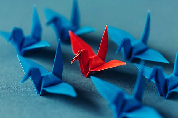 포토 JPG 스튜디오촬영 백그라운드 여러마리 실내 취미 사람없음 아웃포커스 꿈 학 종이접기 감성 소원 색종이 종이학 포위 접기 국내포토 종이 다수 컨셉 모션 조류 촬영기법 내부 파일형식