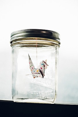 포토 JPG 스튜디오촬영 한마리 백그라운드 유리병 실내 취미 사람없음 꿈 학 종이접기 감성 소원 색종이 종이학 접기 국내포토 1 종이 컨셉 모션 조류 병_용기 내부 파일형식