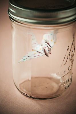 포토 JPG 스튜디오촬영 한마리 백그라운드 유리병 실내 취미 사람없음 꿈 학 종이접기 감성 소원 색종이 종이학 접기 국내포토 1 종이 컨셉 모션 조류 병_용기 내부 파일형식