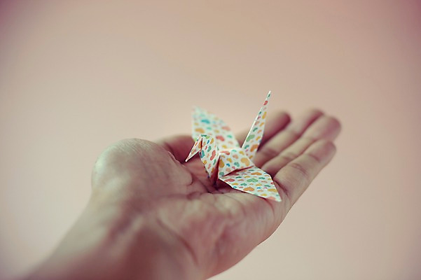 포토 JPG 스튜디오촬영 한마리 손 백그라운드 실내 손바닥 한명 들기 사람 취미 아웃포커스 신체부위 꿈 학 종이접기 감성 소원 색종이 종이학 접기 국내포토 1 종이 컨셉 모션 조류 촬영기법 내부 파일형식
