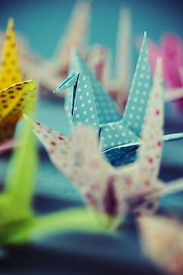 포토 JPG 스튜디오촬영 백그라운드 여러마리 실내 취미 사람없음 아웃포커스 컬러풀 꿈 학 종이접기 감성 소원 색종이 종이학 접기 국내포토 종이 컬러 다수 컨셉 모션 조류 촬영기법 내부 파일형식