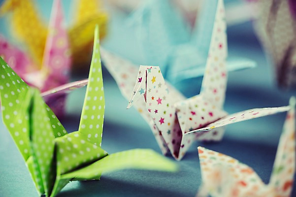 포토 JPG 스튜디오촬영 백그라운드 여러마리 실내 취미 사람없음 아웃포커스 컬러풀 꿈 학 종이접기 감성 소원 색종이 종이학 접기 국내포토 종이 컬러 다수 컨셉 모션 조류 촬영기법 내부 파일형식