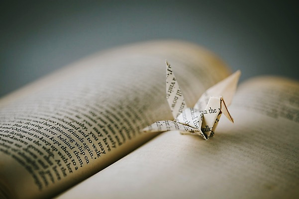 포토 JPG 스튜디오촬영 한마리 백그라운드 실내 취미 사람없음 아웃포커스 책 꿈 학 종이접기 감성 소원 색종이 종이학 접기 국내포토 1 종이 컨셉 모션 조류 촬영기법 내부 파일형식