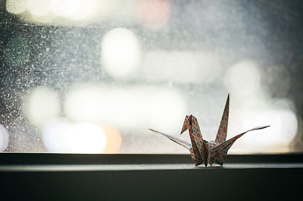 포토 JPG 스튜디오촬영 한마리 백그라운드 창문 실내 취미 사람없음 꿈 학 종이접기 창틀 감성 소원 색종이 종이학 접기 국내포토 1 종이 컨셉 모션 조류 내부 파일형식