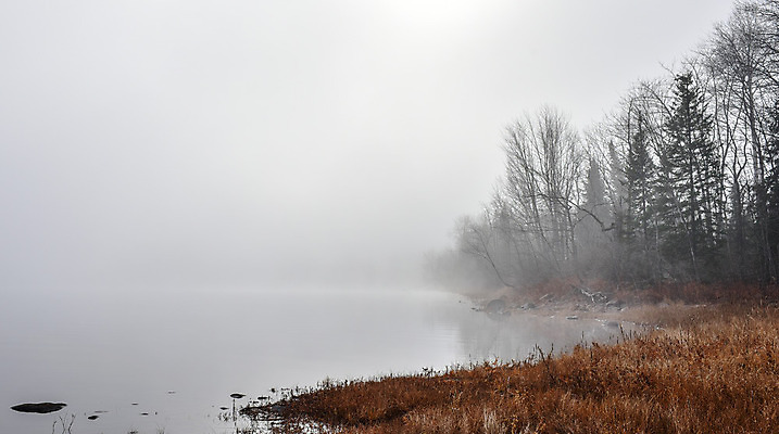 포토 JPG 해외이미지 나무 계절 자연 아침 사람없음 야외 물 햇빛 태양 어둠 회색 젖음 촉촉함 추위 안개 가을 바위 신선 가장자리 숲 시원함 11월 속도 암초 내추럴 뿌연 해외202004 해외포토 주간 자연요소 식물 컬러 날씨 돌_바위 날짜 둘레 생태계 파일형식 이미지허브