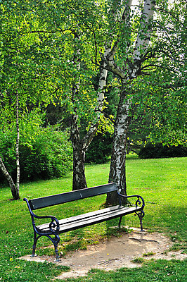 포토 JPG 해외이미지 나무 1 공원 밭 벤치 자연 휴식 풍경 사람없음 야외 목재 초록색 여름 햇빛 평화 침묵 고요 봄 산책 시간 싱글 장면 해외202004 해외포토 식물 계절 공공시설 컬러 컨셉 농업 의자 재료 태양 소리 생태계 파일형식 이미지허브