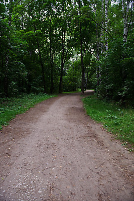 포토 JPG 해외이미지 나무 응시 길 여행 포크 잎 자국 자연 그림자 풍경 사람없음 야외 목재 초록색 평화 걷기 환경 산책 하이킹 나뭇가지 황무지 숲 오솔길 열대우림 생태계 침엽수 단계 삼림지대 생태학 하이커 혼란 혼자 해외202004 해외포토 식물 식기 시선 교육 컬러 컨셉 재료 모션 레저 휴식 파일형식 이미지허브