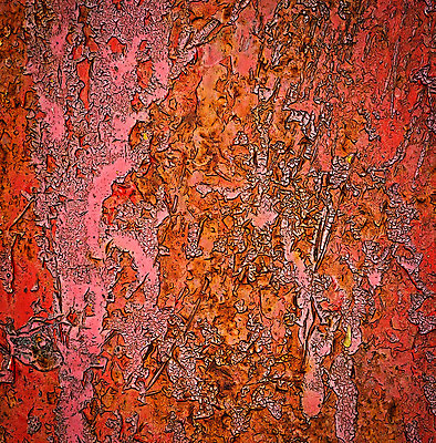 포토 JPG 해외이미지 디자인 선 벽 분홍색 백그라운드 패턴 오렌지 자동차 표면 날씨 추상 미술 사람없음 빨간색 갈색 금속 검은색 페인트 수확 골동품 시골 거친 만화 묘사 질감 복고 그런지 옛날 노화 해외202004 해외포토 육상교통 컬러 컨셉 무늬 농업 과일 재질 문화예술 파일형식 이미지허브