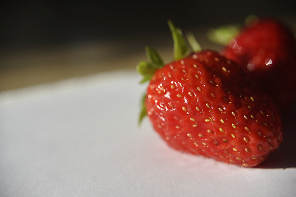 포토 JPG 해외이미지 디자인 열매 길 음식 조각 백그라운드 잎 농업 다이어트 과일 재료 부분 자연 딸기 디저트 건강 씨앗 사람없음 빨간색 초록색 여름 세트 주스 흰색 신선 그룹 달콤 맛 자르기 오브젝트 상쾌 유기농 날것 내추럴 고립 숙성 엘리먼트 채식주의자 비건 해외202004 해외포토 식물 웰빙 계절 감정 산업 음료 컬러 컨셉 모션 생태계 채식 파일형식 이미지허브