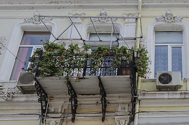 포토 JPG 해외이미지 꽃 여행 건축양식 조류 주택 사람없음 건물 목재 울타리 숫자 금속 발코니 타운 불가리아 스타일 해외202004 해외포토 나무 식물 동물 문자 건축물 건축 재료 재질 담장 도시 파일형식 남유럽 이미지허브