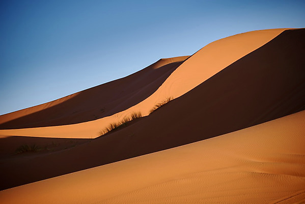 포토 JPG 해외이미지 동물 커플 모래 여행 포유류 아프리카 자연 하늘 건조 이집트 사람없음 야외 모래사장 태양 맑음 산책 사막 시골 뜨거움 양치기 고독 모래언덕 사파리 낙타 동쪽 모로코 남쪽 사하라 아랍에미리트 순례 아랍어 오아시스 이국적 수평선 해외202004 해외포토 자연요소 직업 감정 나라 바다 중동 관계 날씨 휴식 방향 언덕 생태계 파일형식 이미지허브