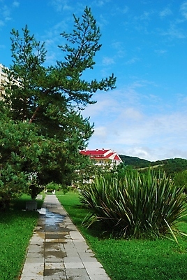 포토 JPG 해외이미지 나무 공원 길 건축양식 휴식 주택 풍경 잔디 사람없음 여름 소나무 오솔길 휴양지 주거지 해외202004 해외포토 식물 계절 공공시설 건축 컨셉 건물 장소 파일형식 이미지허브