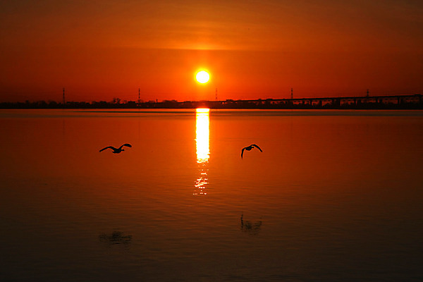 포토 JPG 해외이미지 구름 계절 실루엣 호수 바다 백그라운드 오렌지 자연 하늘 아침 풍경 사람없음 야외 빨간색 물 여름 파란색 빛 컬러풀 햇빛 태양 반사 노란색 맑음 황혼 일몰 봄 새벽 저녁 장면 내추럴 수평선 해외202004 해외포토 주간 자연요소 컬러 과일 날씨 촬영기법 노을 야간 생태계 파일형식 이미지허브