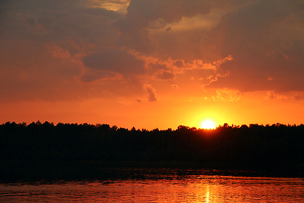 포토 JPG 해외이미지 나무 구름 실루엣 호수 여행 백그라운드 오렌지 하늘 아침 휴가 따뜻함 파노라마 풍경 사람없음 야외 목재 가로 빨간색 여름 강 햇빛 태양 일출 침묵 황혼 일몰 봄 새벽 분위기 황금 저녁 숲 홍수 폭풍 해외202004 해외포토 주간 자연요소 식물 계절 컬러 컨셉 과일 재료 날씨 촬영기법 노을 소리 야간 자연재해 파일형식 이미지허브