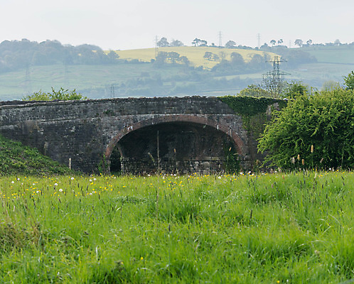 포토 JPG 해외이미지 곤충 밭 자연 사람없음 시골 유채 아치 해외202004 해외포토 동물 꽃 농업 생태계 파일형식 이미지허브