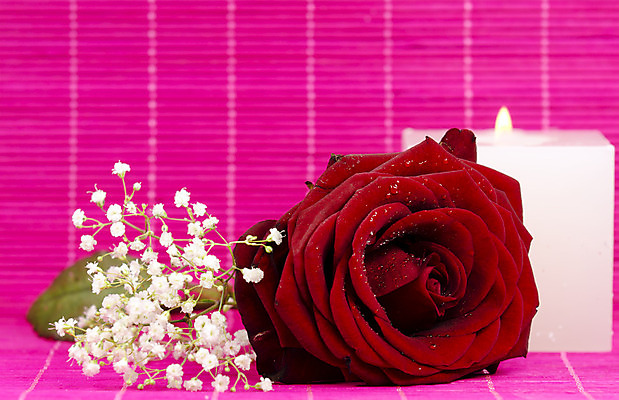 포토 JPG 해외이미지 꽃잎 꽃 분홍색 백그라운드 꽃무늬 발렌타인데이 사랑 사람없음 장식 빨간색 빛 장미 해외202004 해외포토 식물 감정 컬러 무늬 데이이벤트 파일형식 이미지허브