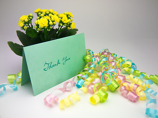 포토 JPG 해외이미지 디자인 계절 기념일 꽃 행복 리본 종이 분홍색 백그라운드 겨울 휴가 프레임 선물 미술 이벤트 사람없음 장식 초록색 파란색 상자 노란색 라벨 놀람 기쁨 흰색 축하 인사 신용카드 메시지 달콤 감사 엽서 초대 해외202004 해외포토 식물 감정 컬러 컨셉 문화예술 표정 금융 예절 맛 편지 파일형식 이미지허브