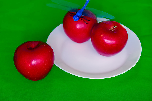 포토 JPG 해외이미지 식물 꽃잎 꽃 분홍색 꽃무늬 자연 디저트 건강 사람없음 빨간색 초록색 컬러풀 노란색 봄 벚꽃 흰색 맛 잠자리 사과 데이지 서빙 거베라 이익 내추럴 고립 해외202004 해외포토 계절 음식 컬러 곤충 컨셉 무늬 과일 생태계 파일형식 이미지허브