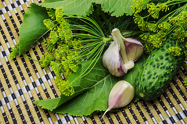 포토 JPG 해외이미지 식물 음식 백그라운드 채소 재료 자연 오이 건강 마늘 요리 사람없음 초록색 수확 시골 신선 허브 향신료 유기농 날것 피클 딜 숙성 오이피클 절임 채식주의자 핸드메이드 해외202004 해외포토 웰빙 컬러 농업 생태계 채식 향미료 파일형식 이미지허브