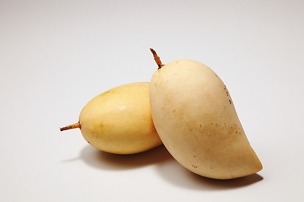 포토 JPG 해외이미지 식물 음식 백그라운드 2 과일 자연 열대 귤 건강 씨앗 사람없음 흰색 달콤 맛 아침식사 먹기 유기농 망고 내추럴 해외202004 해외포토 웰빙 컬러 컨셉 모션 식사 열대과일 생태계 파일형식 이미지허브