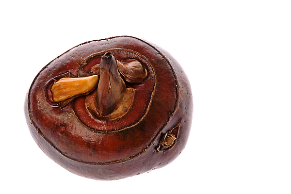 포토 JPG 해외이미지 식물 음식 농업 다이어트 채소 과일 자연 건강 사람없음 초록색 물 견과류 신선 닫기 먹기 유기농 날것 뿌리 내추럴 고립 궤 식용 채식주의자 해외202004 해외포토 자연요소 웰빙 산업 컬러 모션 생태계 채식 파일형식 이미지허브