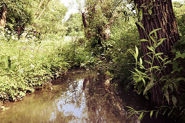 포토 JPG 해외이미지 나무 식물 구름 계절 공원 잎 모션 자연 하늘 산 건강 파노라마 풍경 사람없음 야외 초록색 물 여름 파란색 강 평화 환경 계곡 봄 폭포 하이킹 젖음 흐름 성장 바위 신선 개울 급류 떨어짐 숲 작음 장면 해외202004 해외포토 자연요소 공공시설 컬러 컨셉 레저 촬영기법 돌_바위 크기 생태계 파일형식 이미지허브