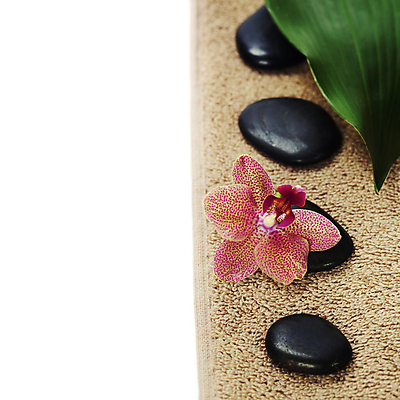 포토 JPG 해외이미지 꽃 잎 사람없음 수건 스파 조약돌 스파용품 카피스페이스 해외포토 식물 위생용품 공백 돌_바위 오브젝트 파일형식 이미지허브