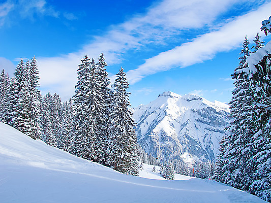 포토 JPG 해외이미지 계절 유럽 스포츠 여행 겨울 자연 하늘 휴가 스키 휴식 산 파노라마 풍경 경사 사람없음 야외 파란색 평화 냉동 얼음 침묵 추위 흰색 스노우보드 가루 고도 스위스 휴양지 알프스 선로 절정 눈내림 해외202004 해외포토 자연요소 나라 컬러 컨셉 겨울스포츠 눈_날씨 촬영기법 소리 장소 보드_스포츠 생태계 파일형식 이미지허브