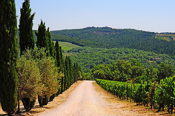 포토 JPG 해외이미지 나무 식물 유럽 도로 길 모래 밭 농업 자연 하늘 아침 지붕 벽돌 산 주택 건조 그림자 풍경 사람없음 건물 여름 농가 농장 농경지 이탈리아 바위 시골 볏짚 땅 빌라 맨션 타일 언덕 먼지 침엽수 땅바닥 방법 토스카나 호밀 목가 해외202004 해외포토 주간 건축물 계절 나라 산업 교통시설 곡류 바닥 돌_바위 짚 생태계 파일형식 이미지허브